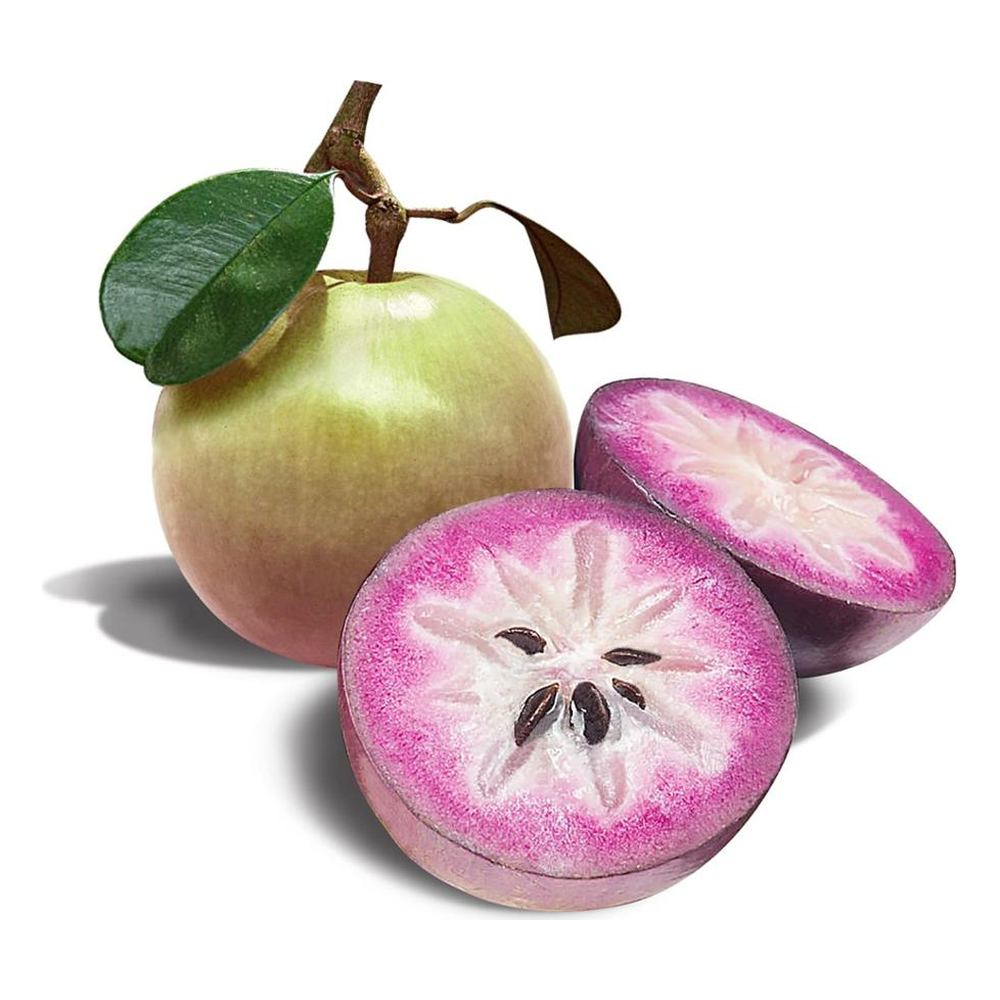 Vú sữa
