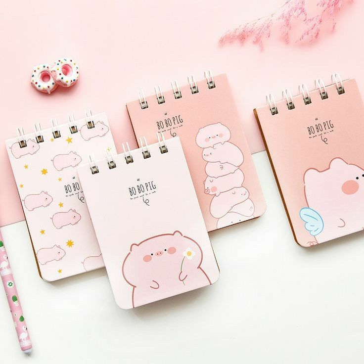 Sổ lò xo  dài 10  