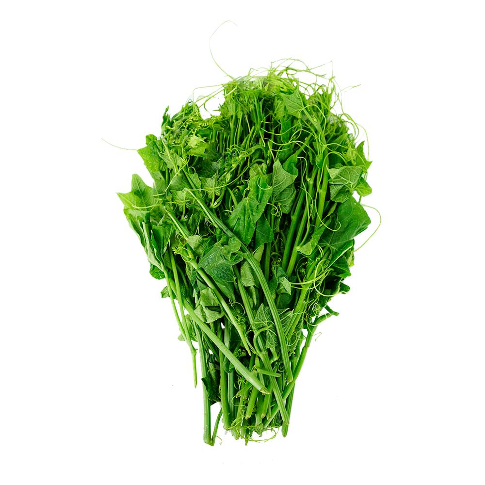Ngọn Su Su