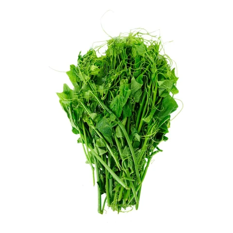 Ngọn Su Su