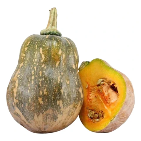 Bí ngô cô tiên