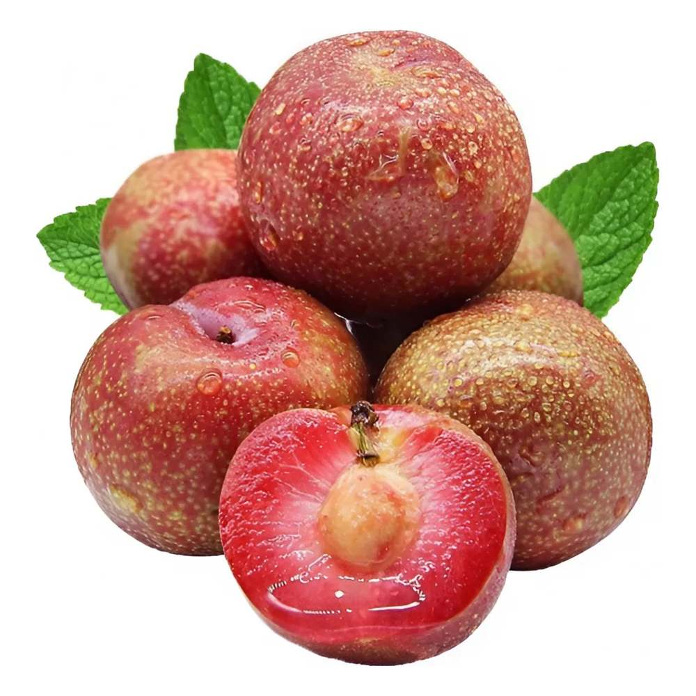 Quả mận hậu