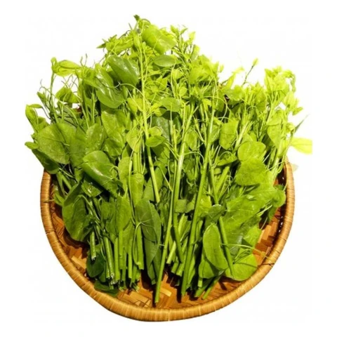 Rau bò khai Lạng Sơn