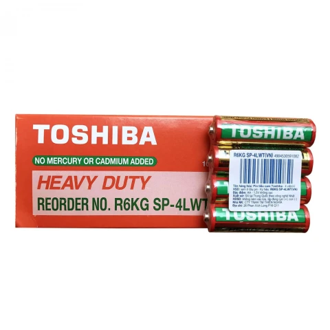 Pin AA Toshiba R6KG_SP-4 LWT  