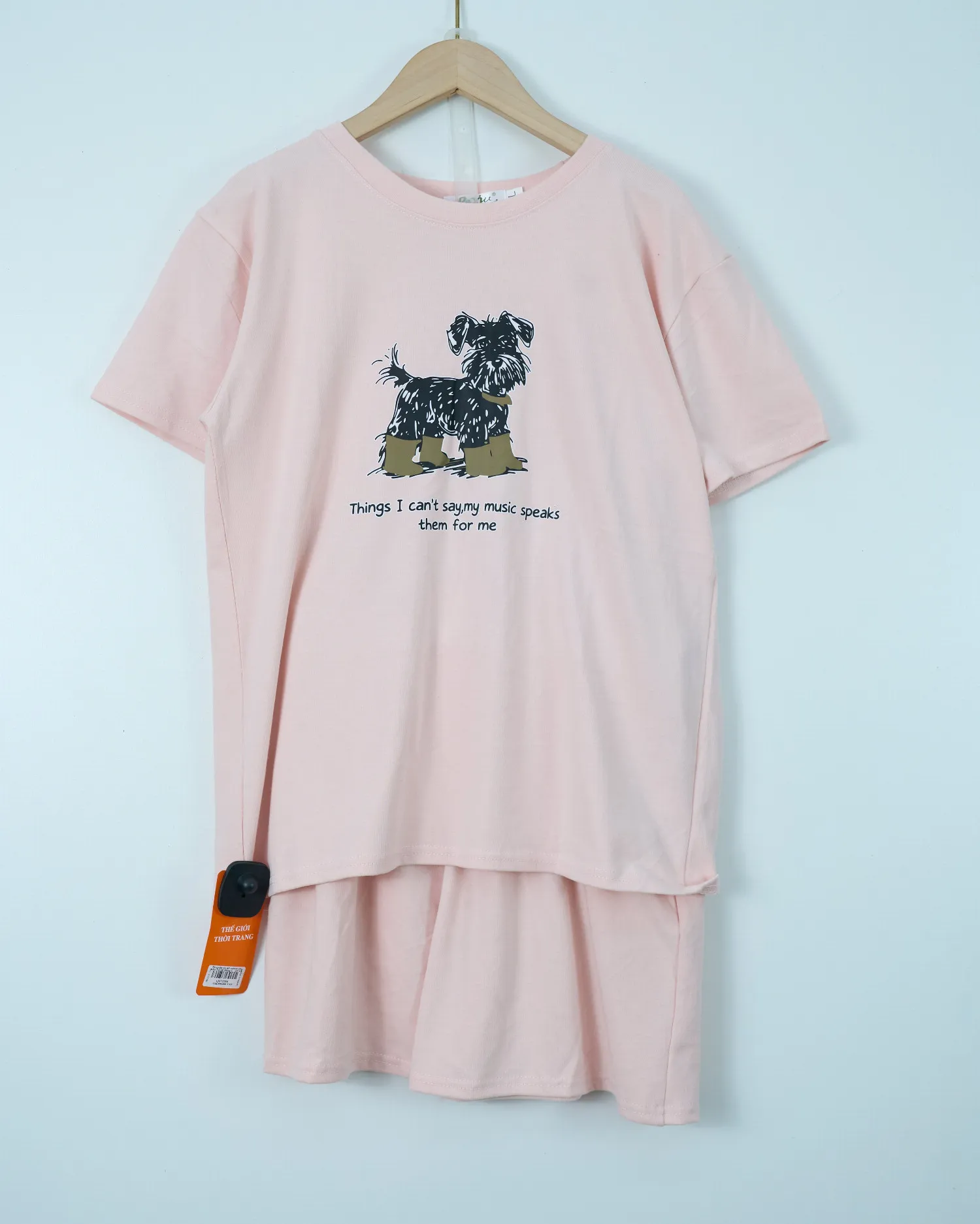 Bộ quần áo nữ cotton cộc nhỏ 14168 Xanh L   QC23