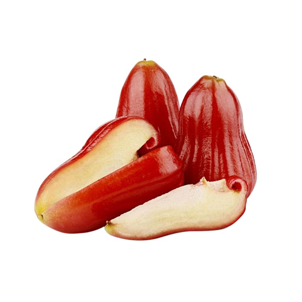 Roi đỏ An Phước