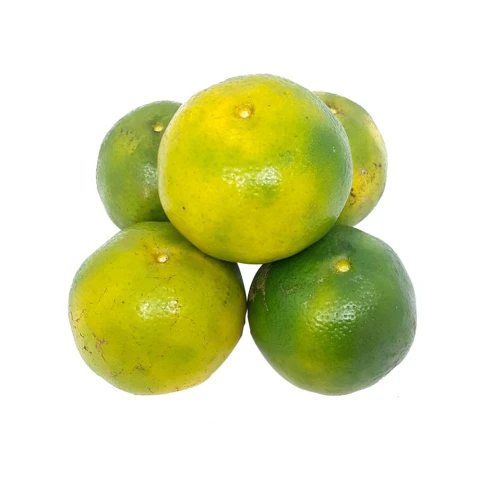 Quýt Sài Gòn