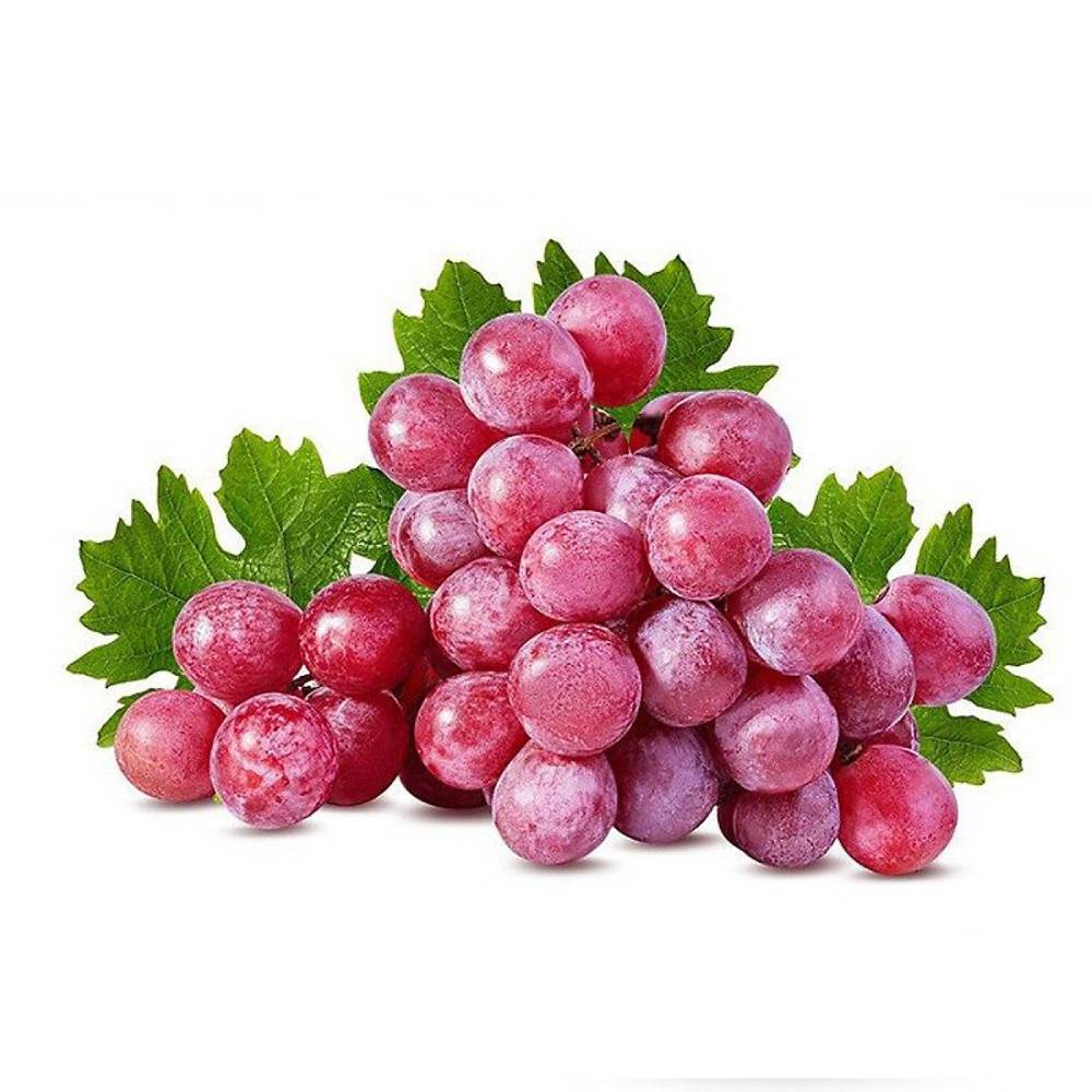 Nho đỏ không hạt (nho quả tươi)