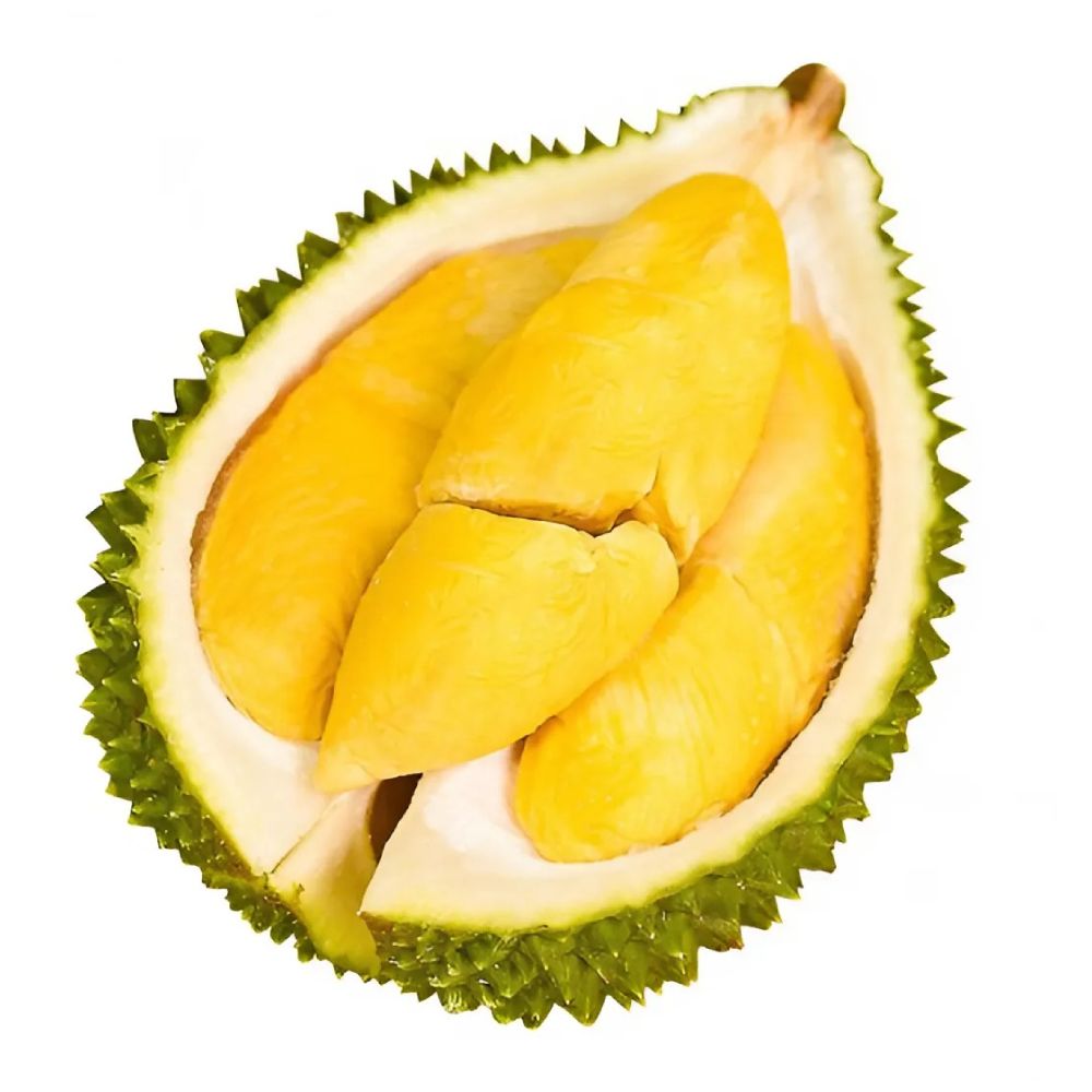 Sầu riêng