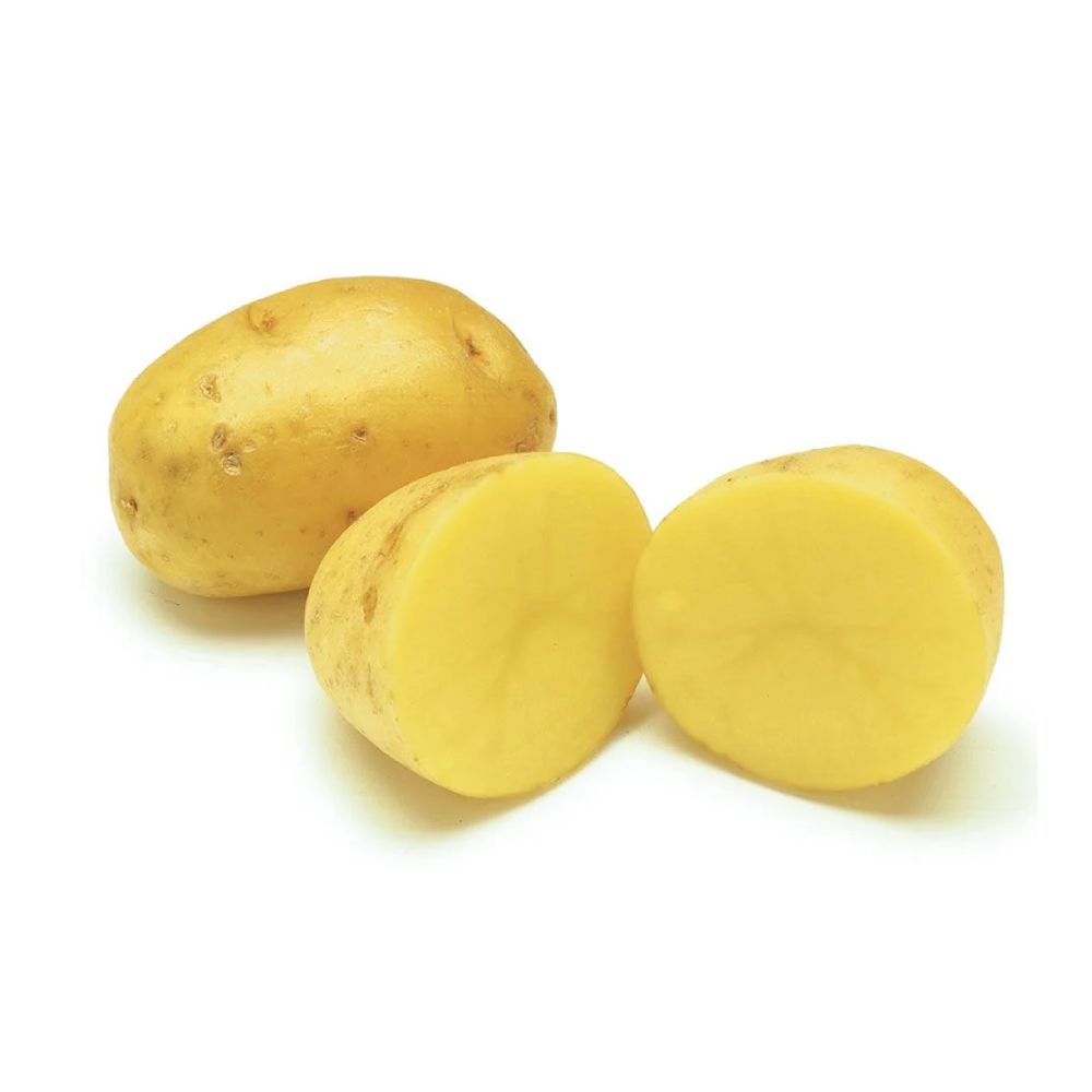 Khoai tây