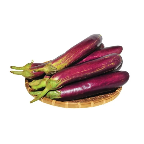 Cà tím dài