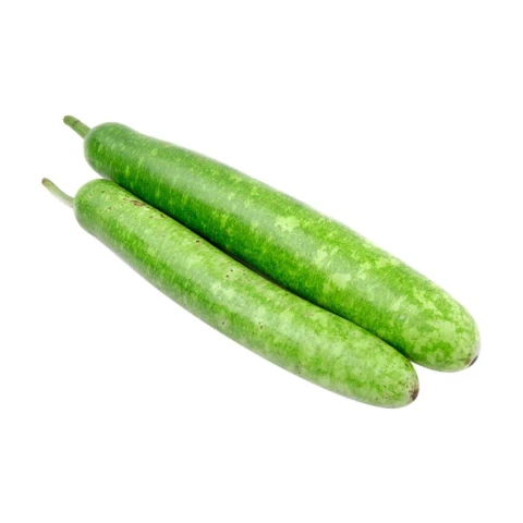 Bầu