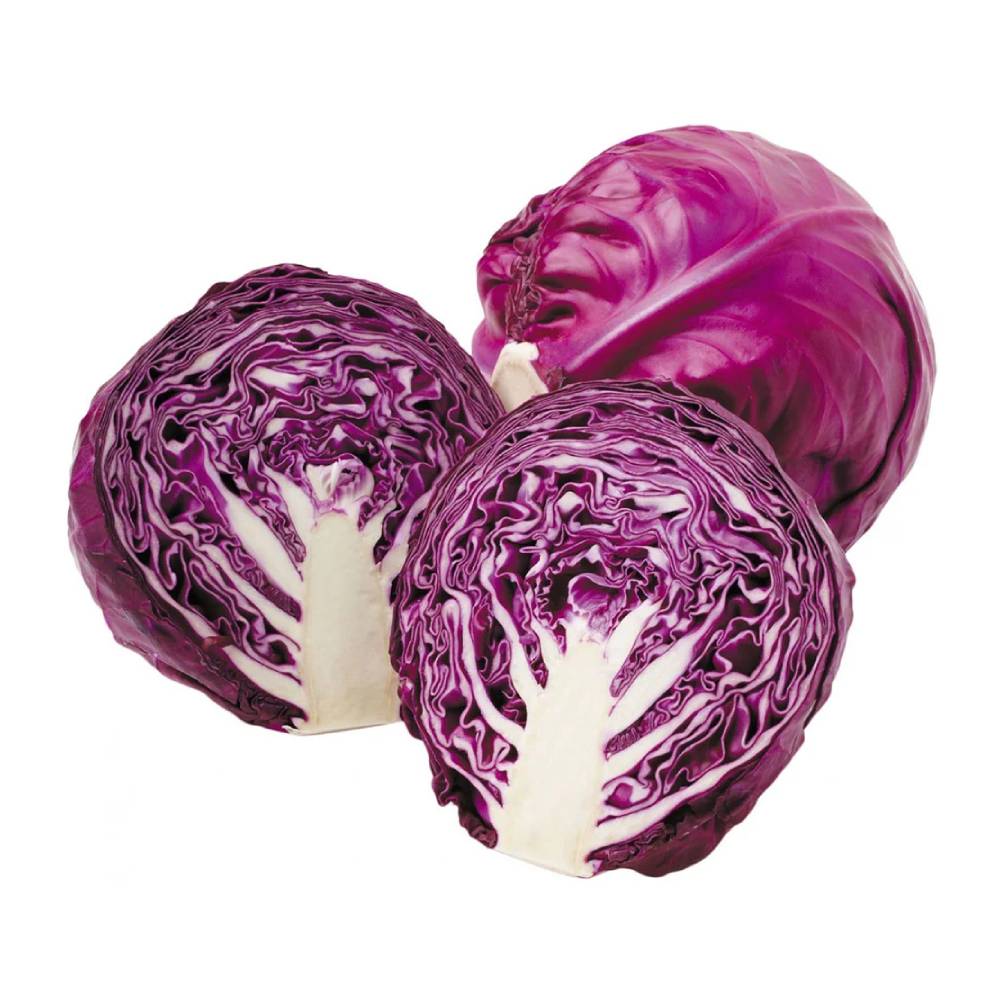 Bắp cải tím