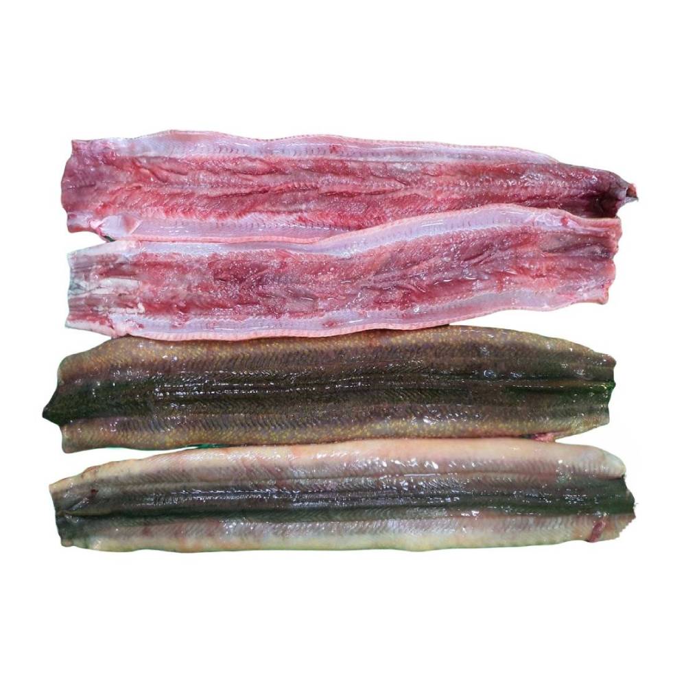Lươn