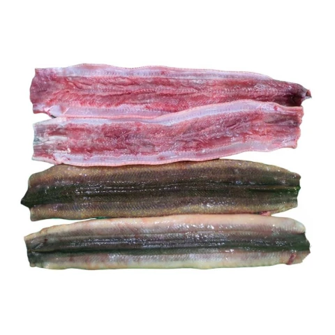Lươn