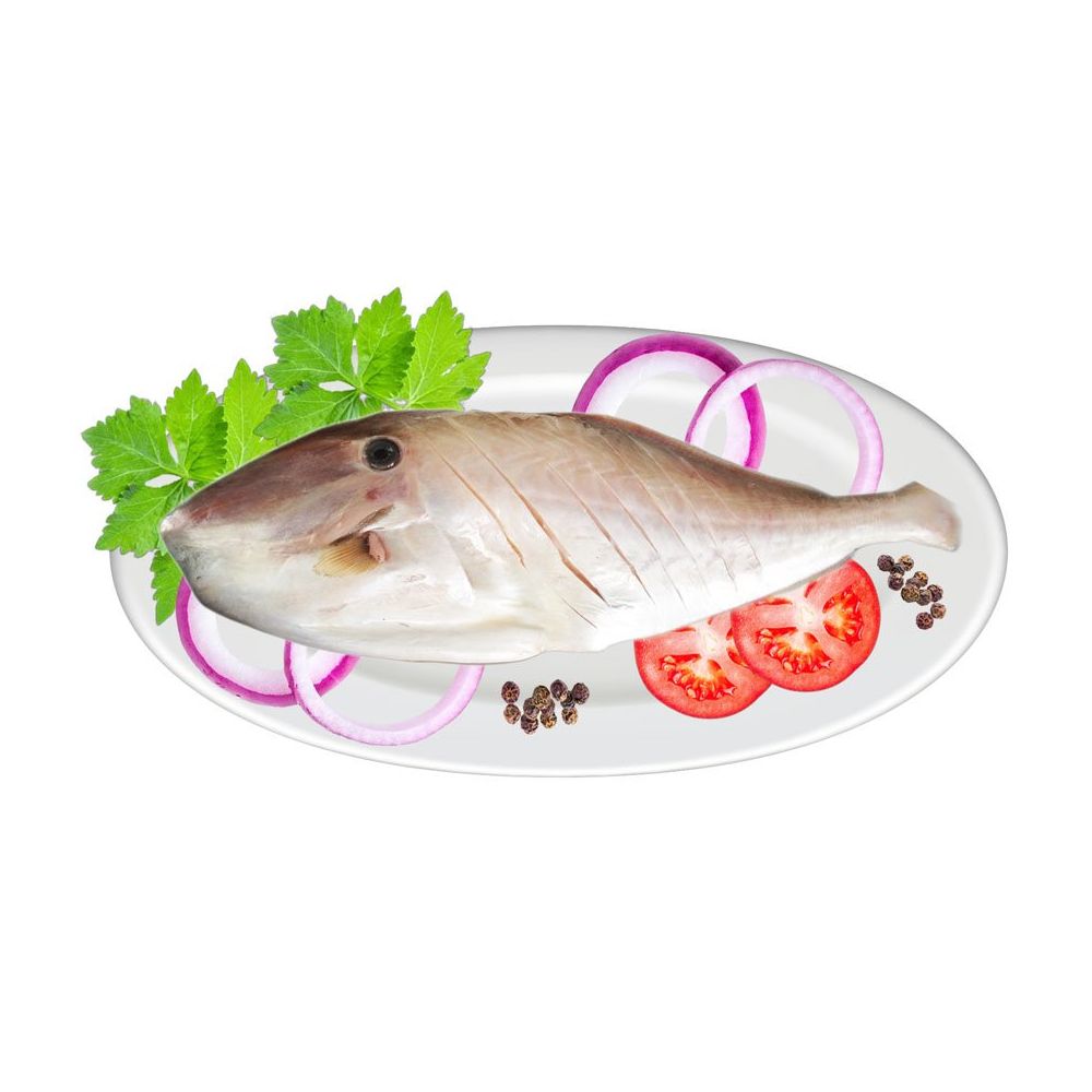Cá bò